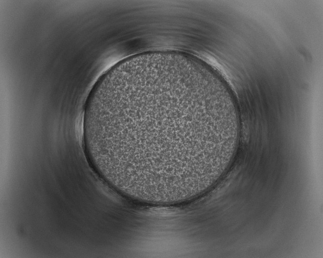 X0000116811227200912311949