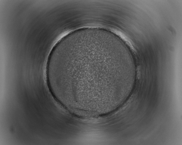 X0000116811229200912311949