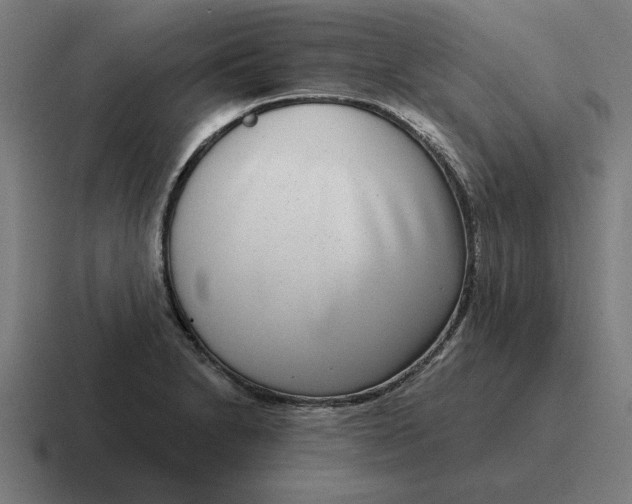 X0000116811230200912311949