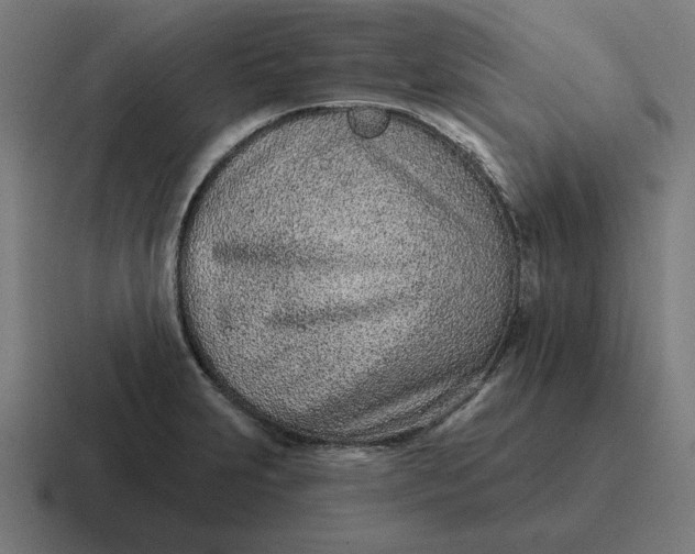 X0000116811231200912311949