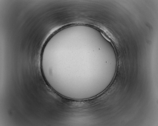 X0000116811232200912311949