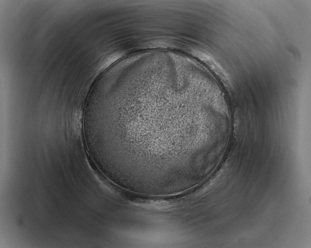 X0000116811233200912311949