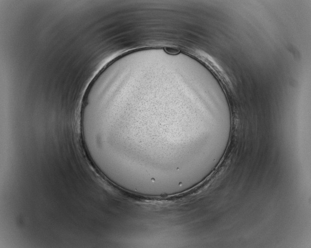 X0000116811236200912311949