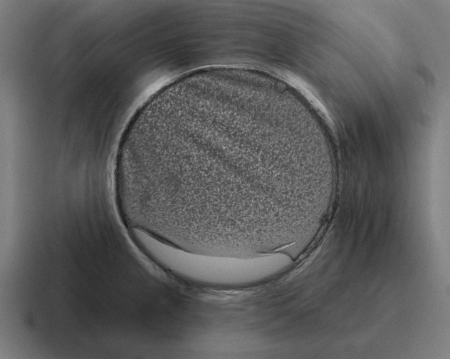 X0000116811237200912311949