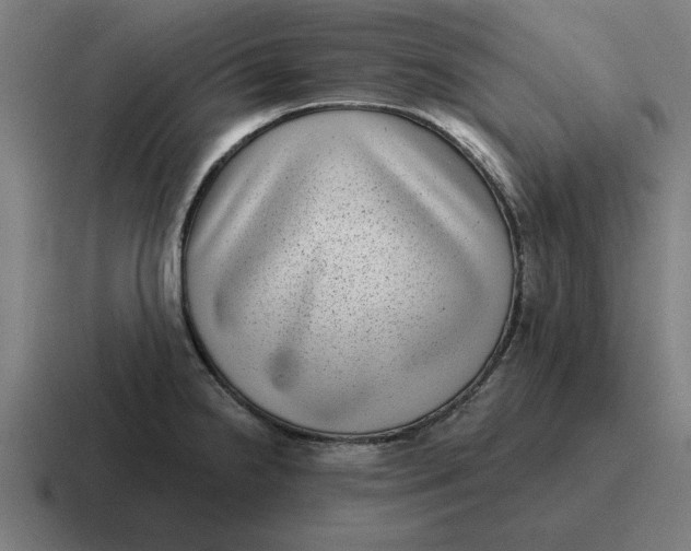 X0000116811238200912311949