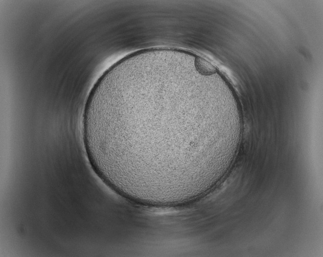 X0000116811239200912311949