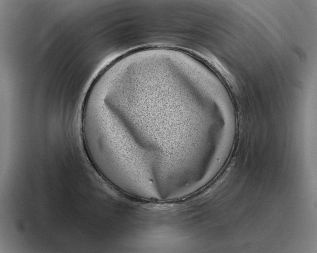 X0000116811240200912311949