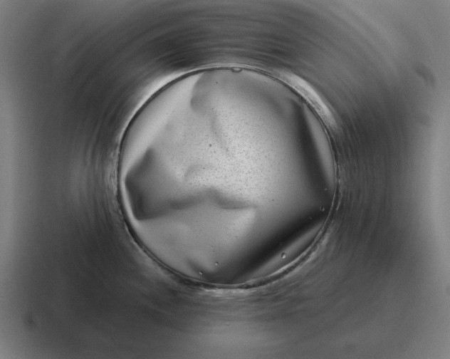 X0000116811244200912311949