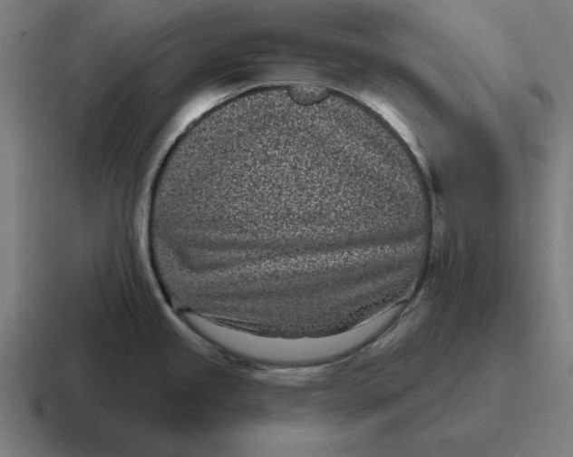 X0000116811245200912311949