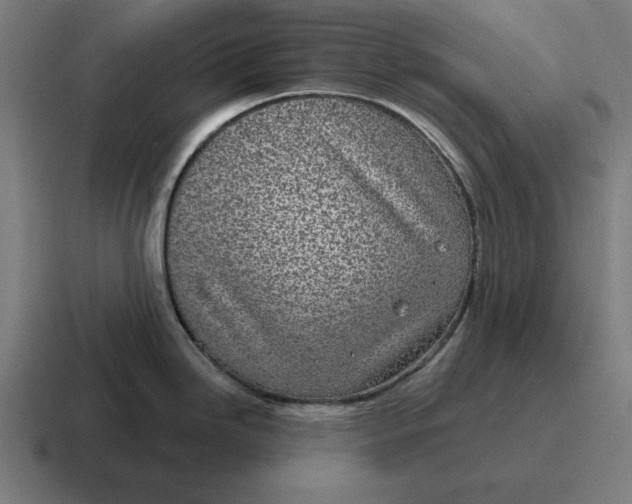 X0000116811246200912311949