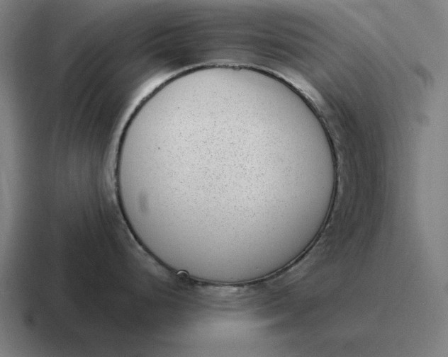 X0000116811248200912311949