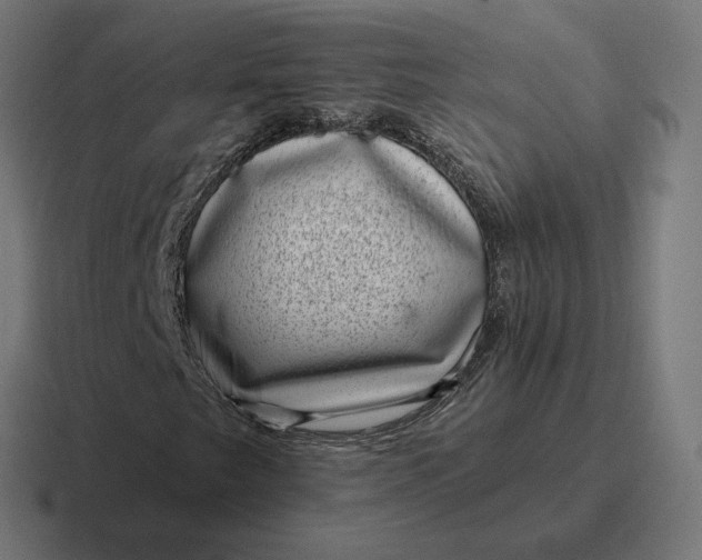 X0000116811249200912311949