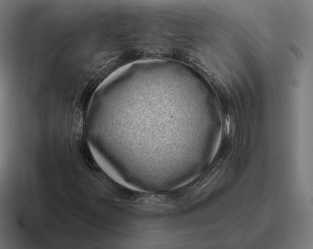 X0000116811251200912311949