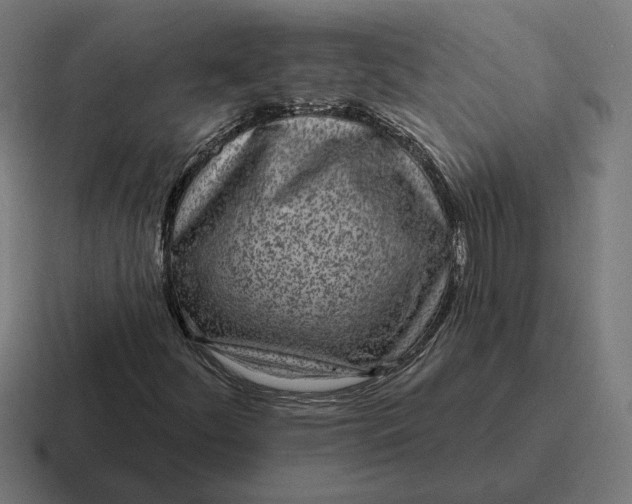 X0000116811252200912311949