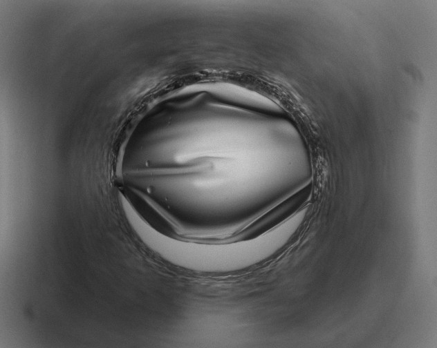 X0000116811253200912311949