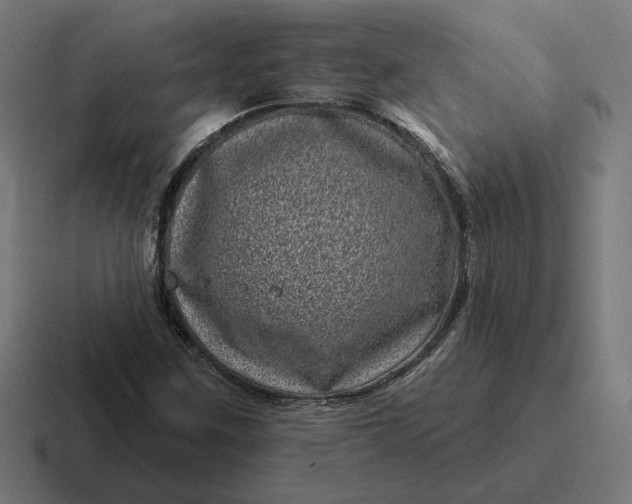 X0000116811259200912311949