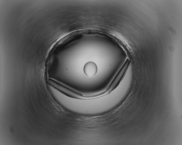 X0000116811260200912311949