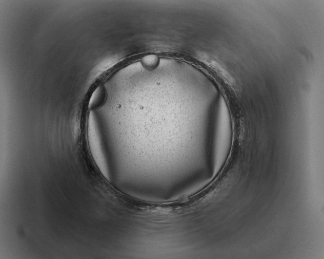 X0000116811261200912311949