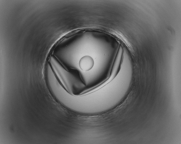 X0000116811268200912311948