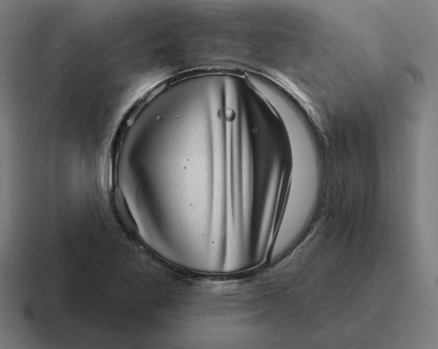 X0000116811269200912311948