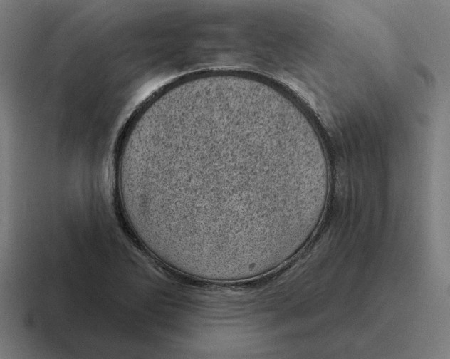 X0000116811270200912311948