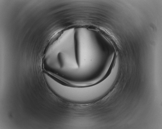 X0000116811273200912311948