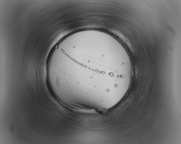 X0000116811274200912311948