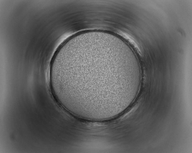 X0000116811275200912311948