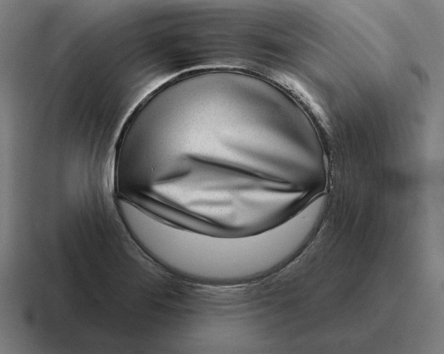 X0000116811276200912311948