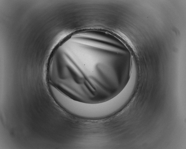 X0000116811277200912311948