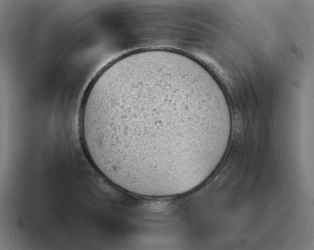 X0000116811278200912311948