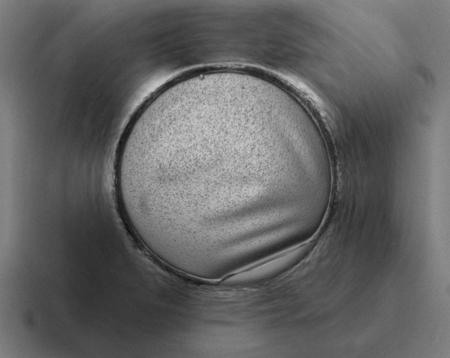 X0000116811279200912311948