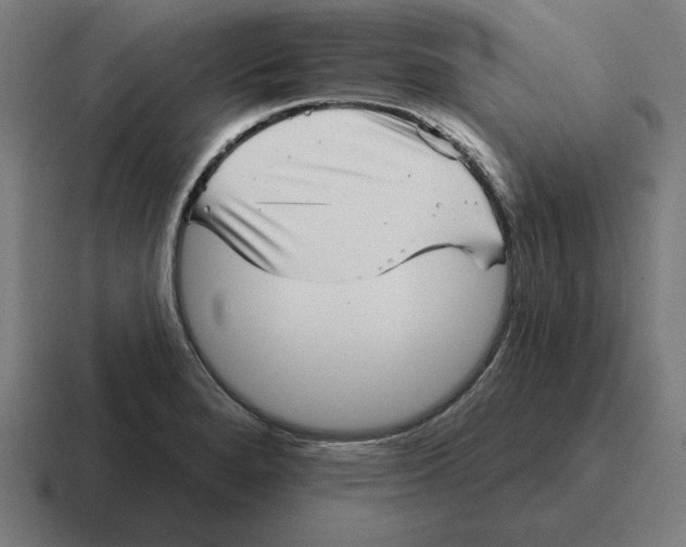 X0000116811280200912311948