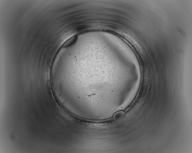 X0000116811281200912311948