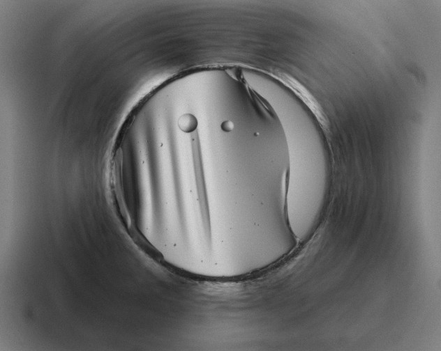 X0000116811285200912311948