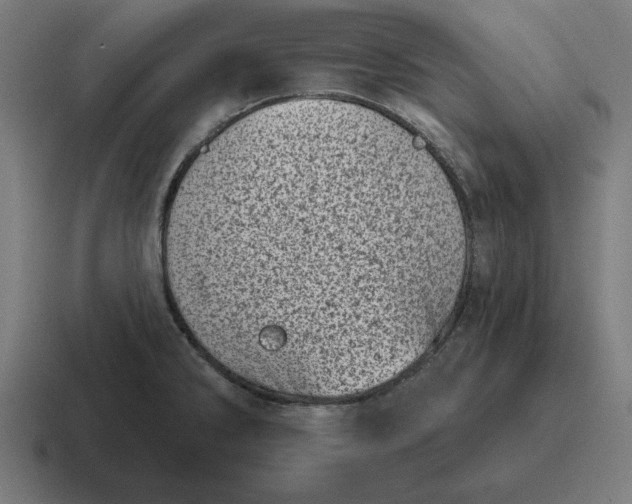 X0000116811286200912311948