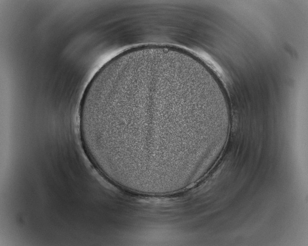 X0000116811287200912311948