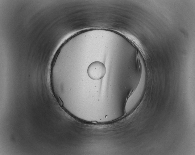 X0000116811288200912311948