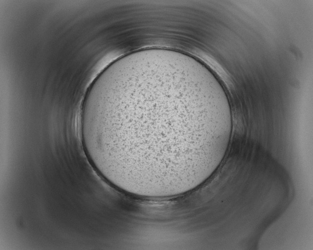 X0000116811290200912311948