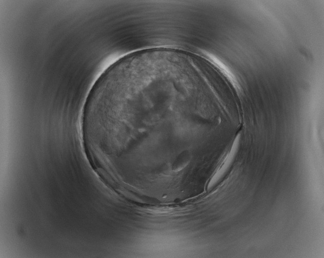 X0000116811291200912311948