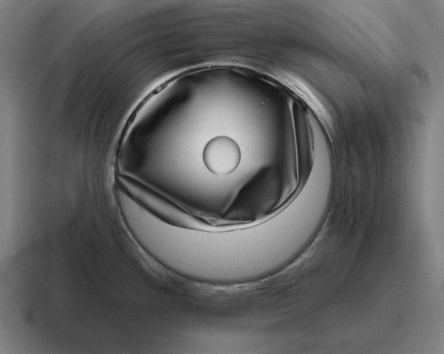 X0000116811292200912311948