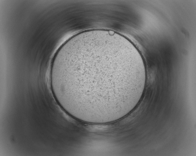 X0000116811294200912311948