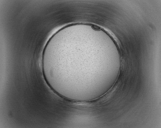 X0000116811295200912311948