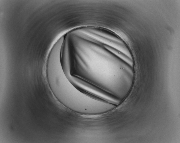 X0000116811296200912311948