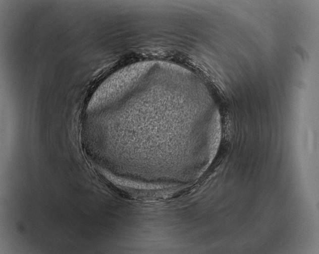 X0000116811297200912311948