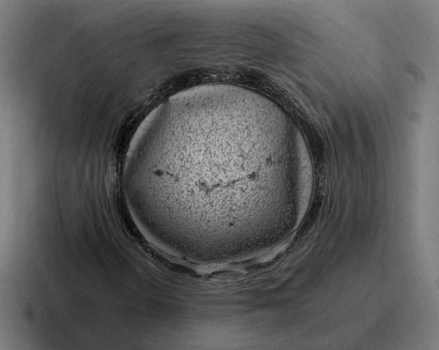 X0000116811298200912311948