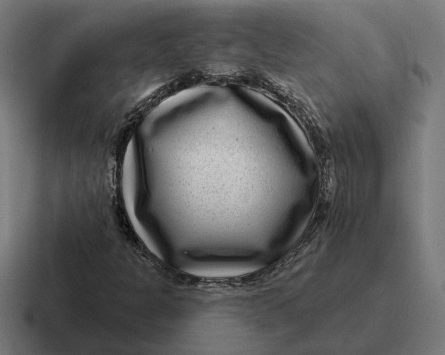 X0000116811301200912311948