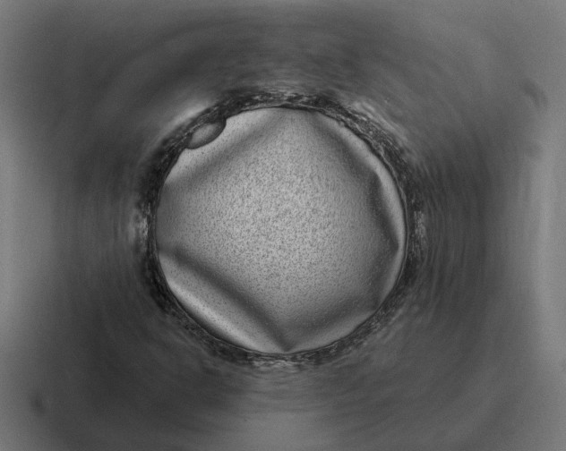 X0000116811302200912311948