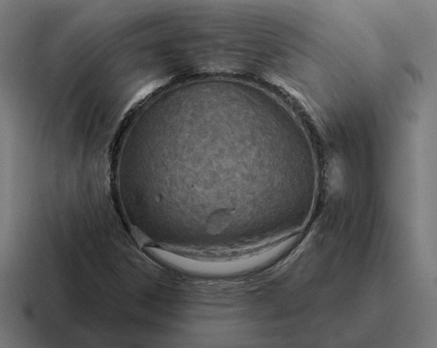 X0000116811306200912311948