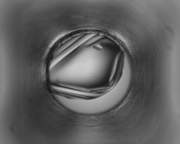 X0000116811310200912311948